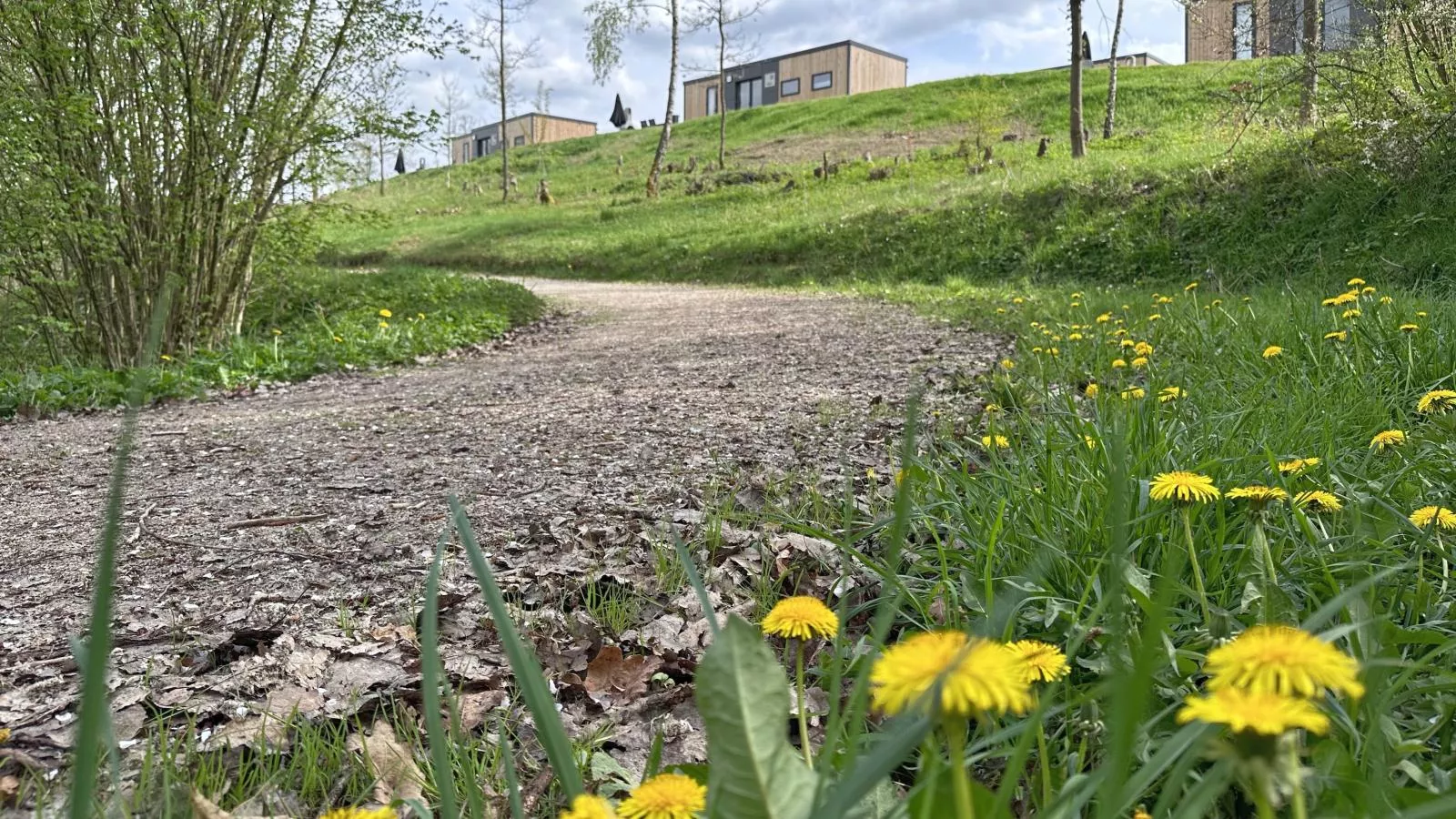 Feriendorf Seeblick - Tiny Nr 7 - Parkfaciliteiten