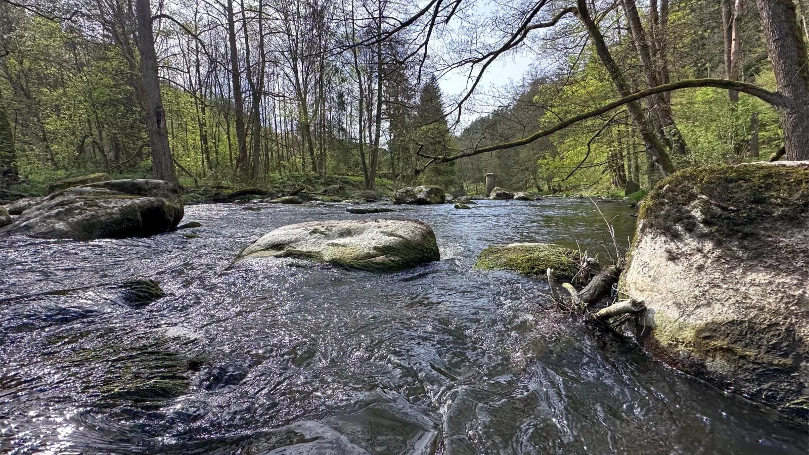 Feriendorf Seeblick - Tiny Nr 1 - Gebieden zomer 5km