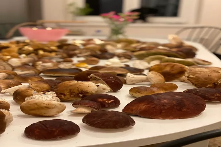 Leśniczówka Szeroki Bór Pisz - Keuken