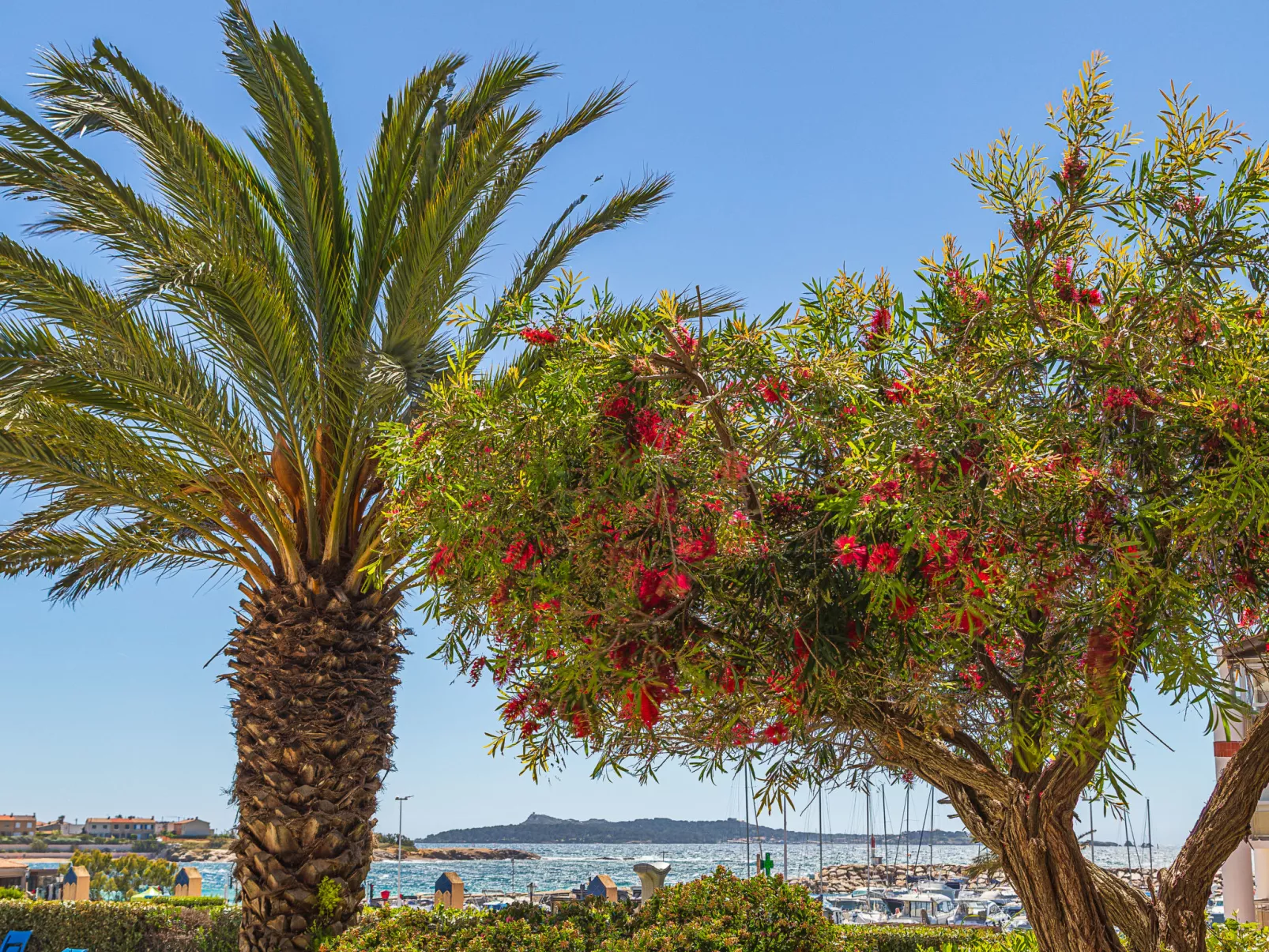 Les Rivages de Coudoulière - Binnen