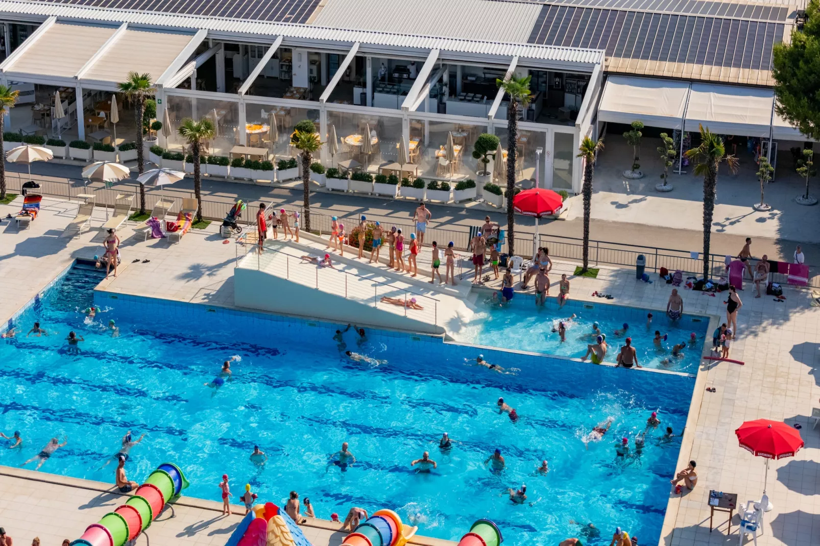 Stork Family Collection - BUNGALOW BILOCALE DOG max cap 5 pax - Zwembad