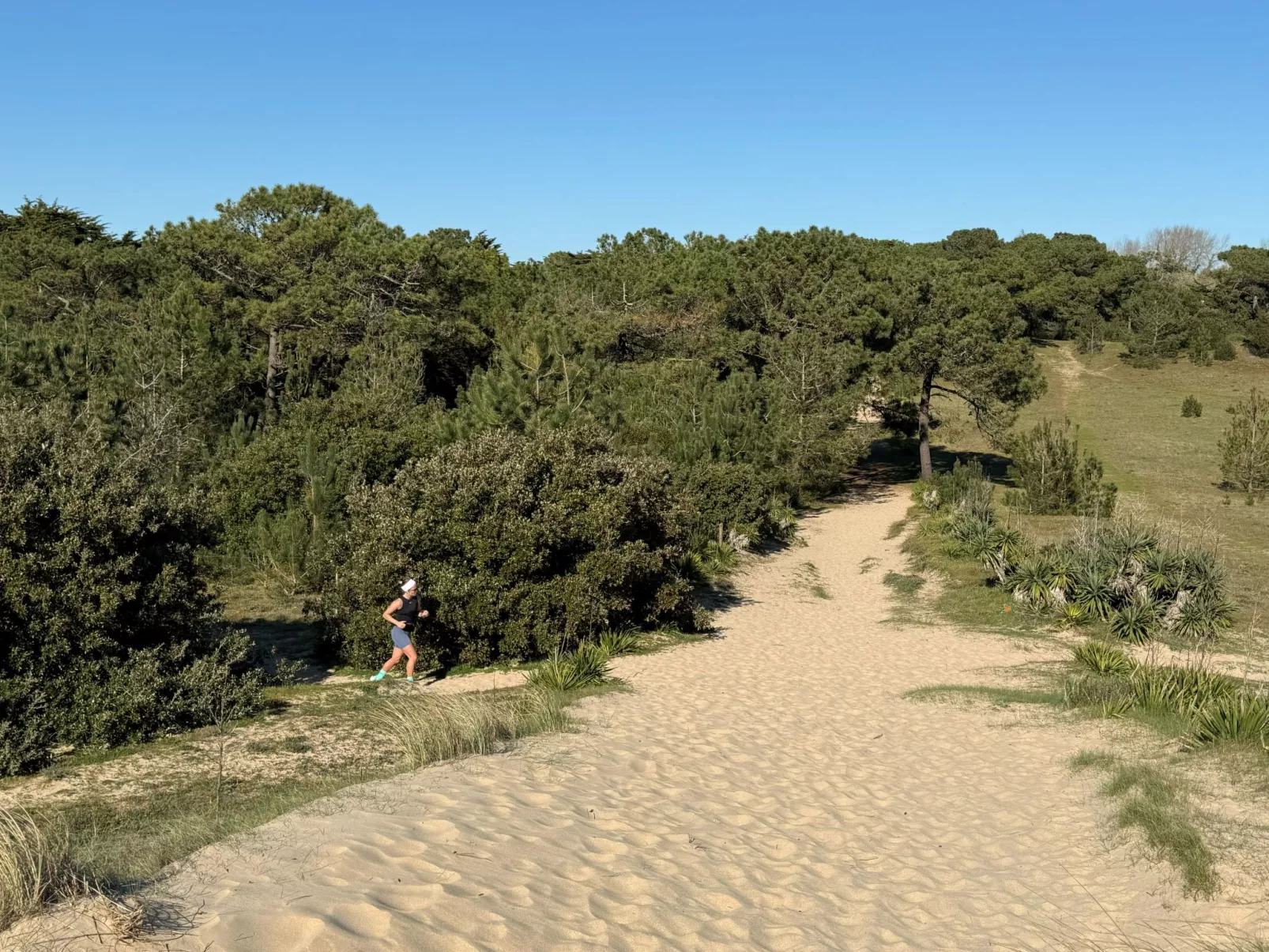 Maison de charme Les Yuccas - Buiten