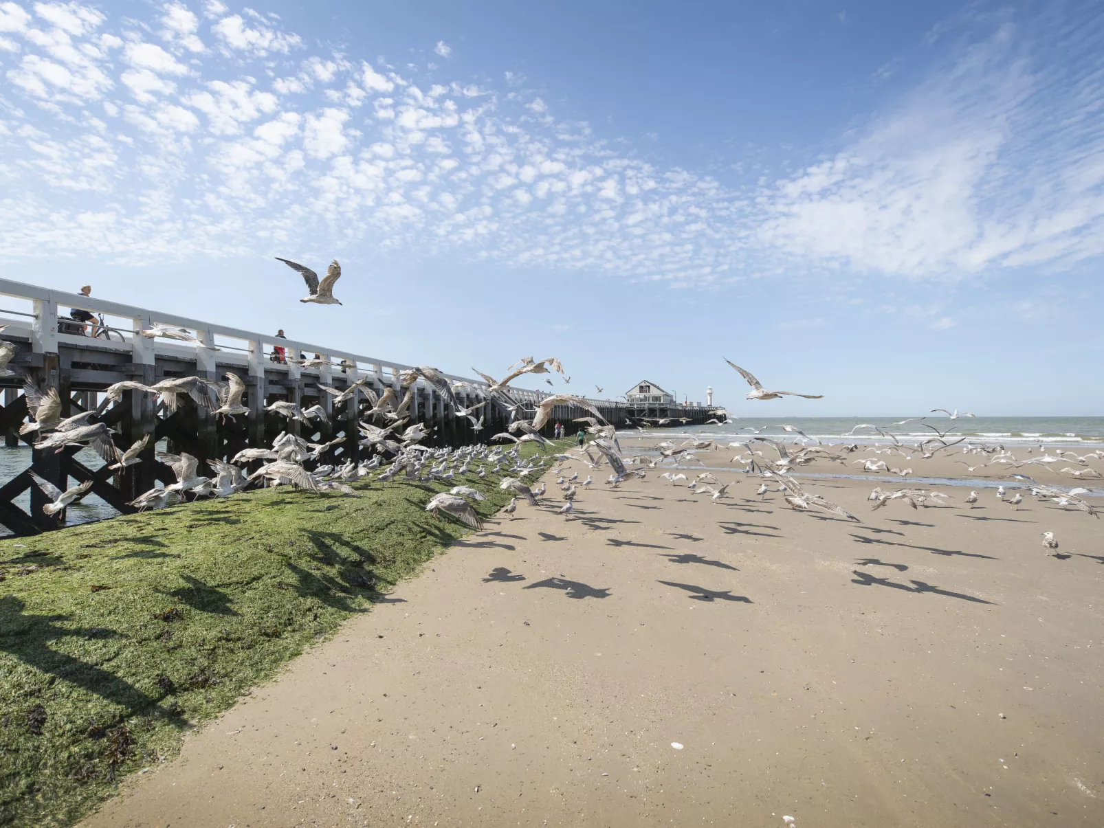 Wanderlust Belgium with parking - Buiten