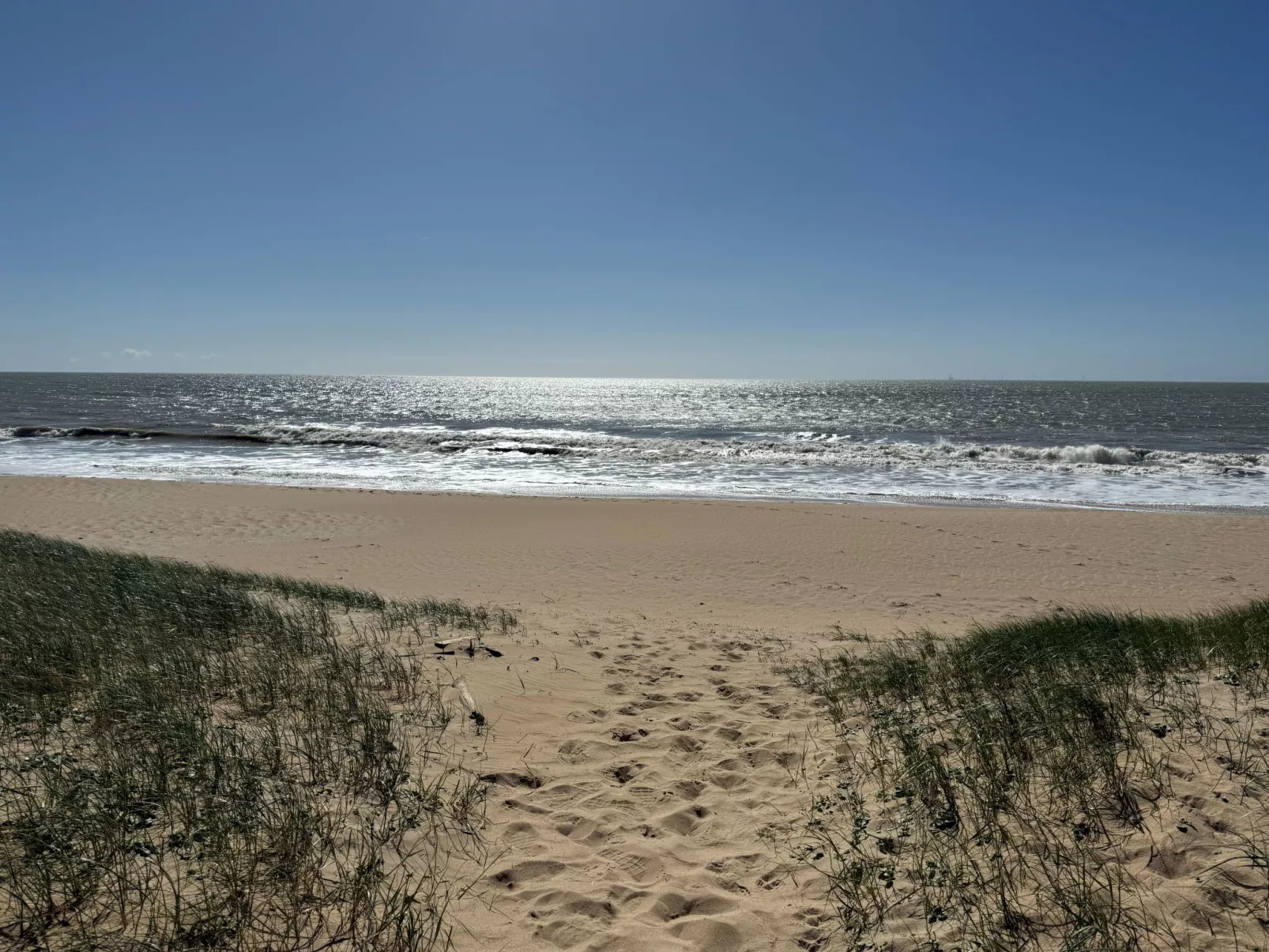 Maison de charme Les Yuccas - Buiten