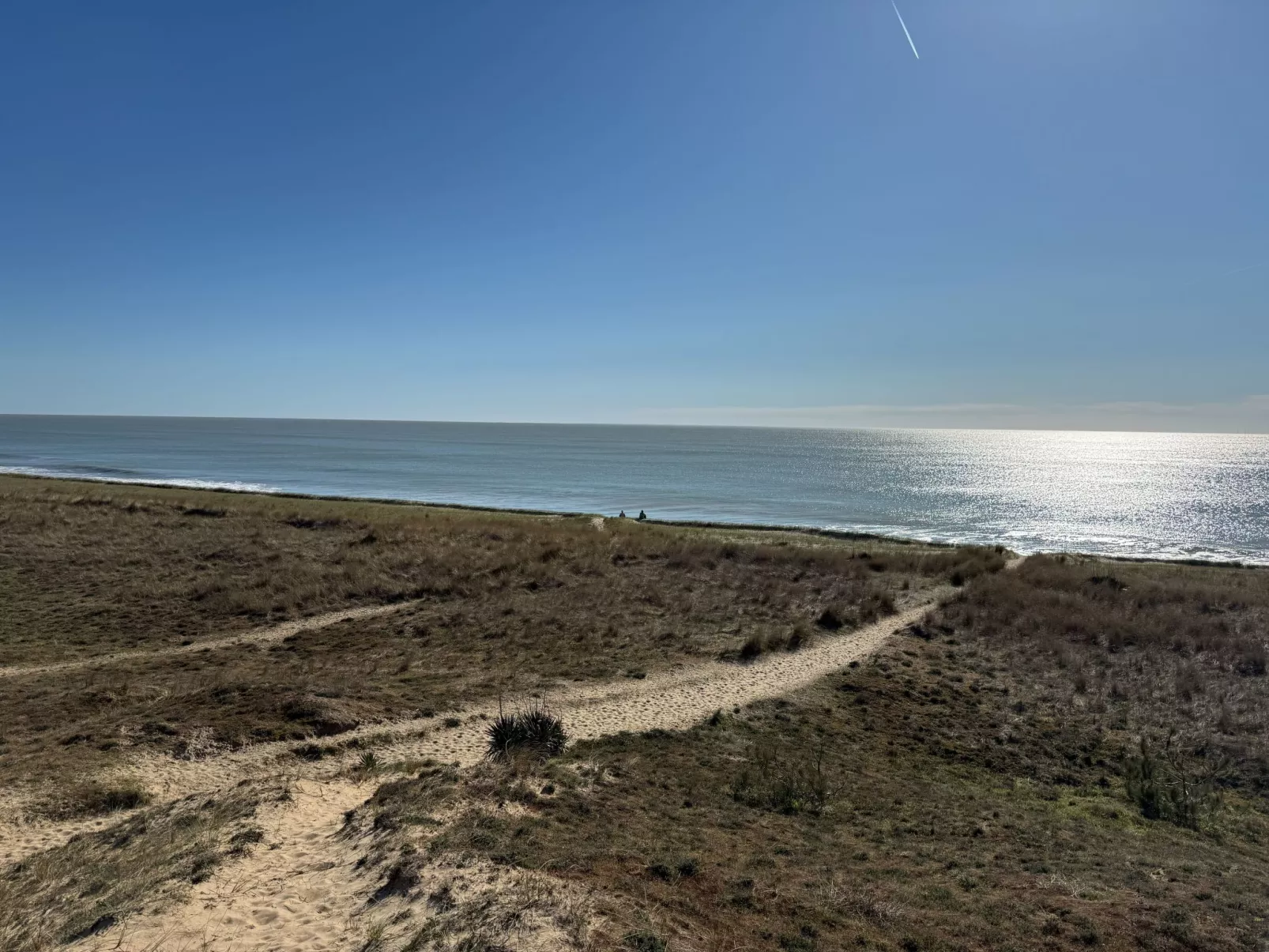 Maison de charme Les Yuccas - Buiten