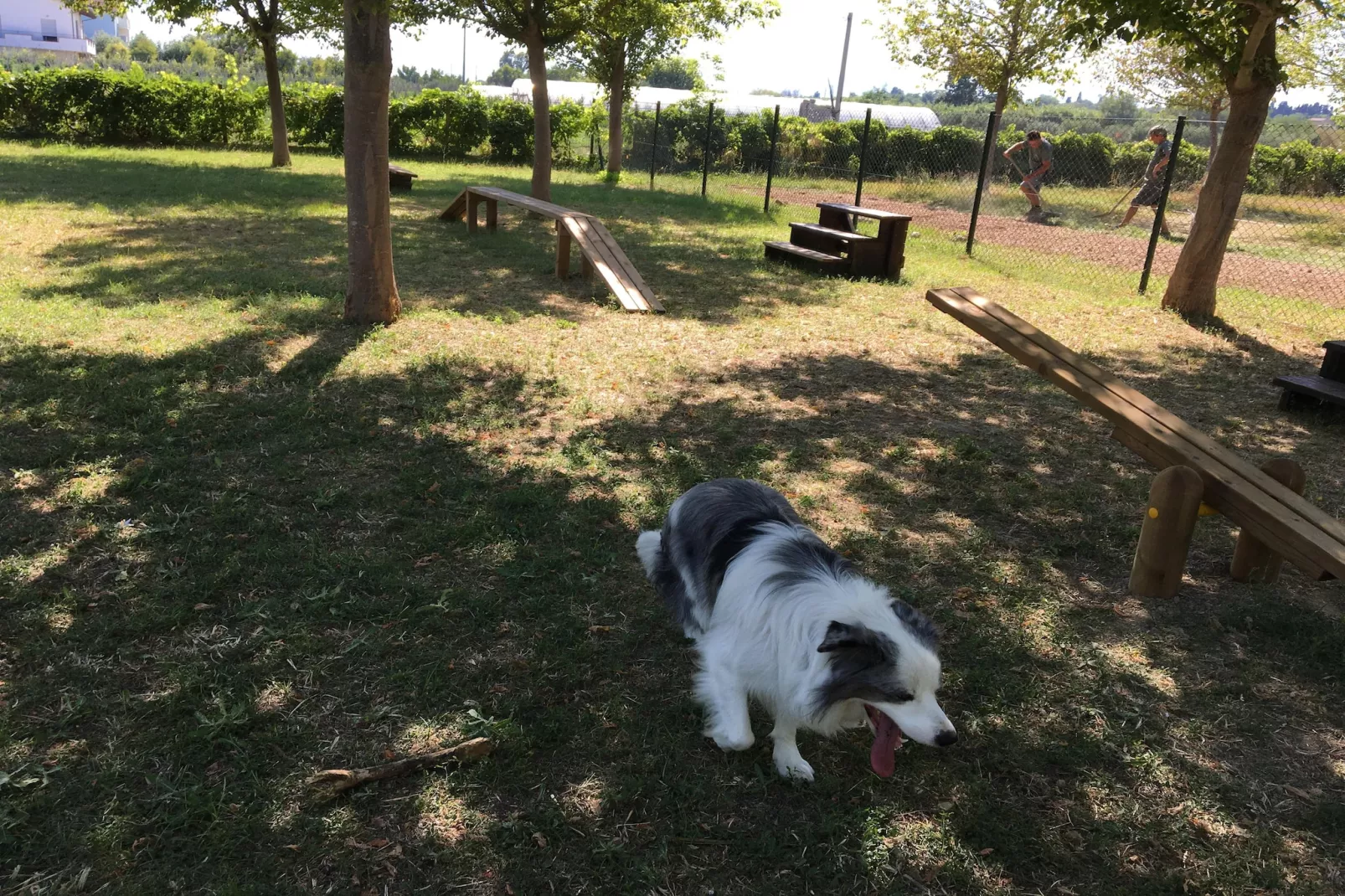 Stork Family Collection - BUNGALOW BILOCALE DOG max cap 5 pax - Parkfaciliteiten