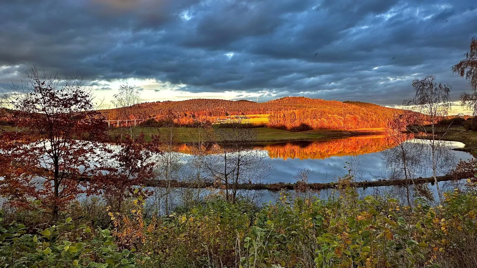Feriendorf Seeblick - Tiny Nr 2 - Waterzicht