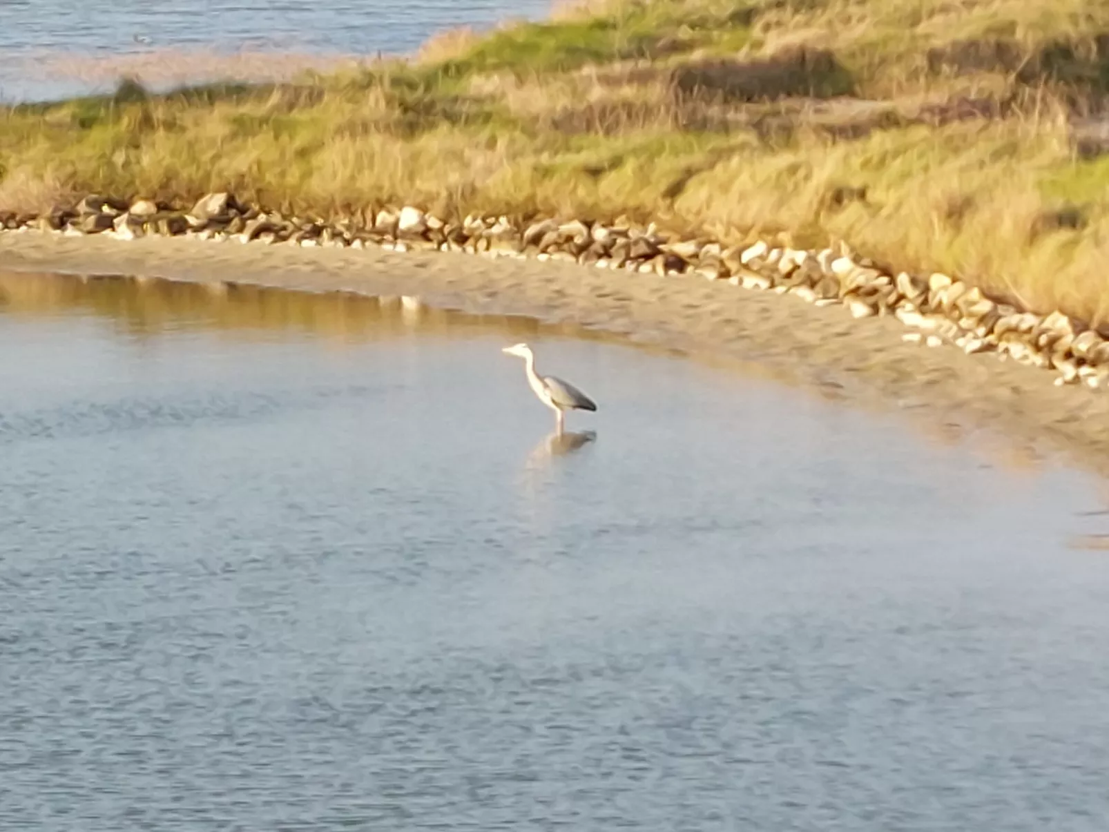 Maison de charme Les Yuccas - Omgeving