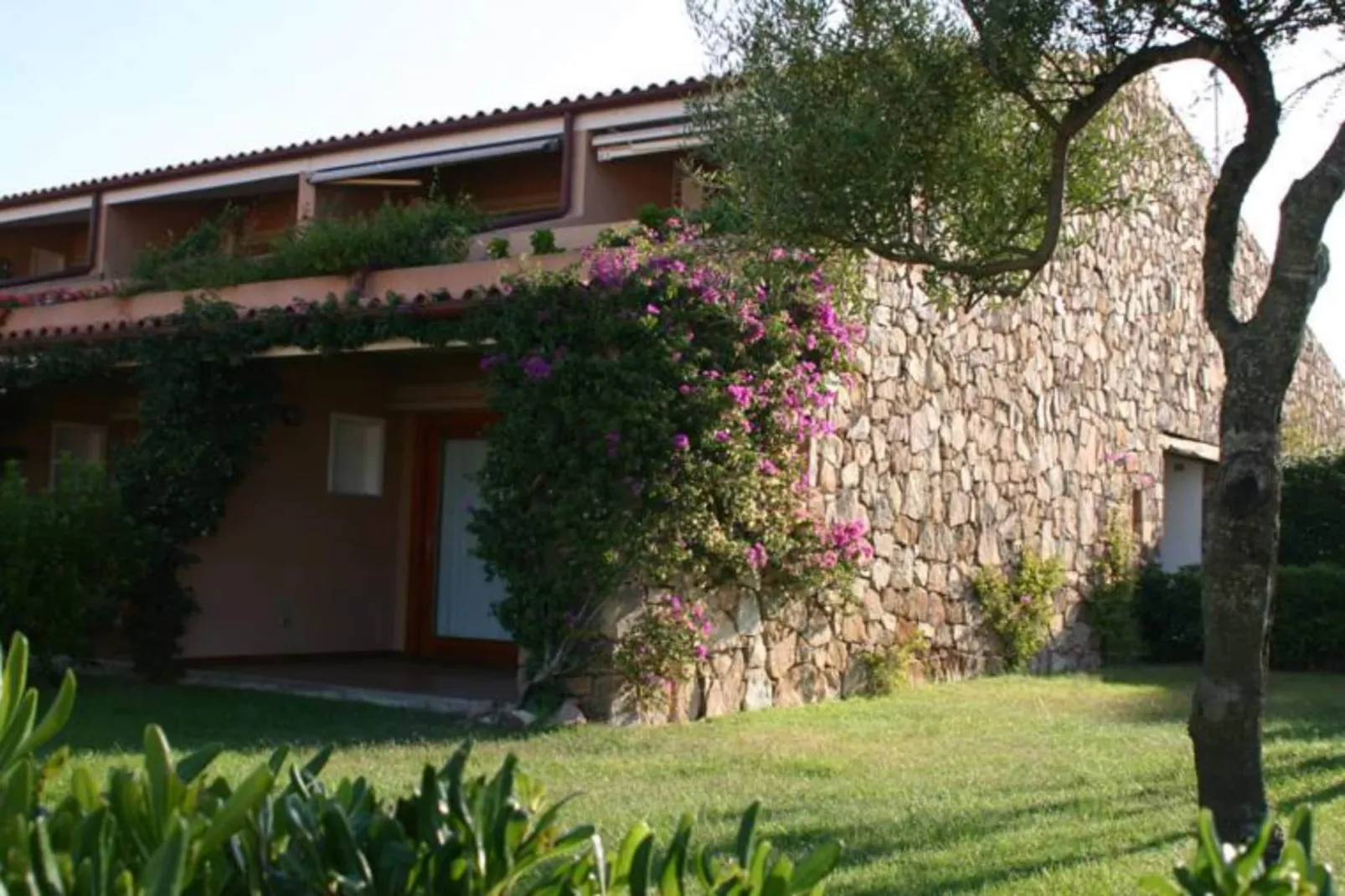 Residence Porto Coda Cavallo - STUDIO - Buitenkant zomer