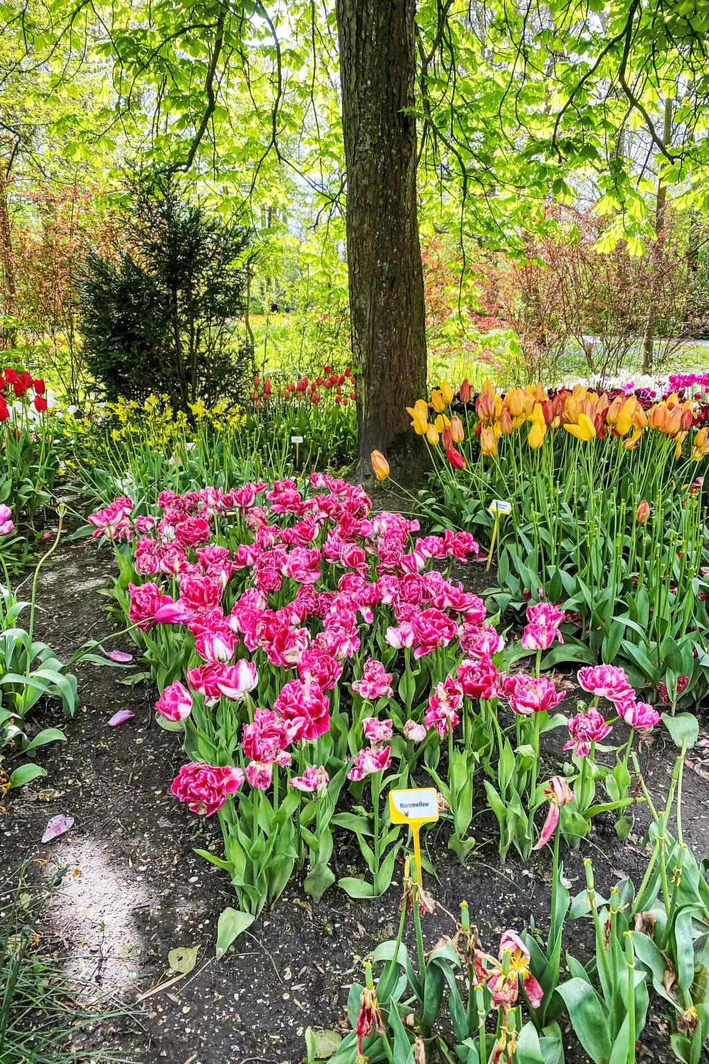 Rekerlanden 174 - Buiten