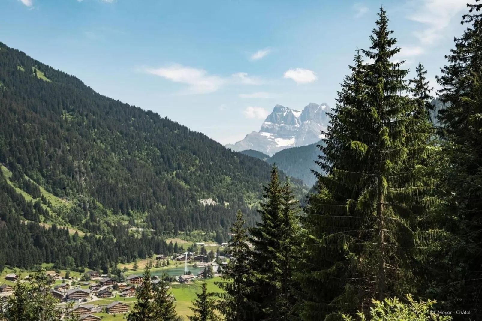 Campanules CP6 TELECABINE & NATURE 4 Pers - Gebieden zomer 1km
