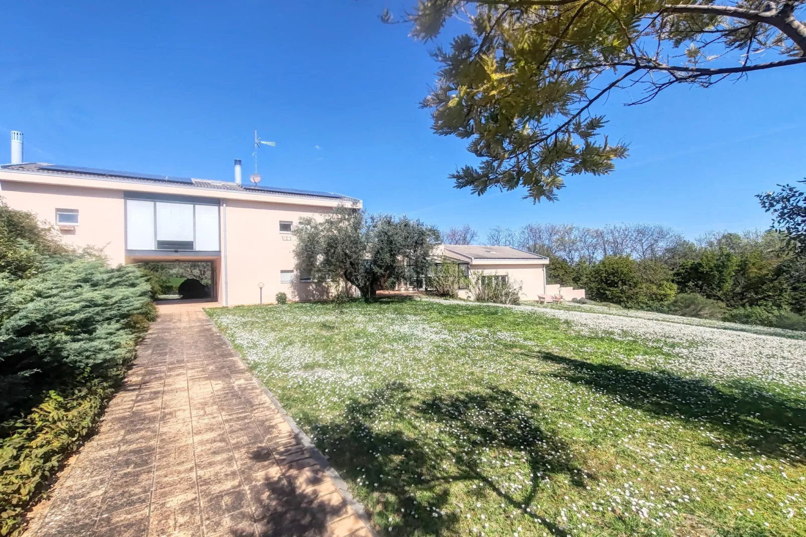 Villa tra gli Ulivi - Buitenkant zomer