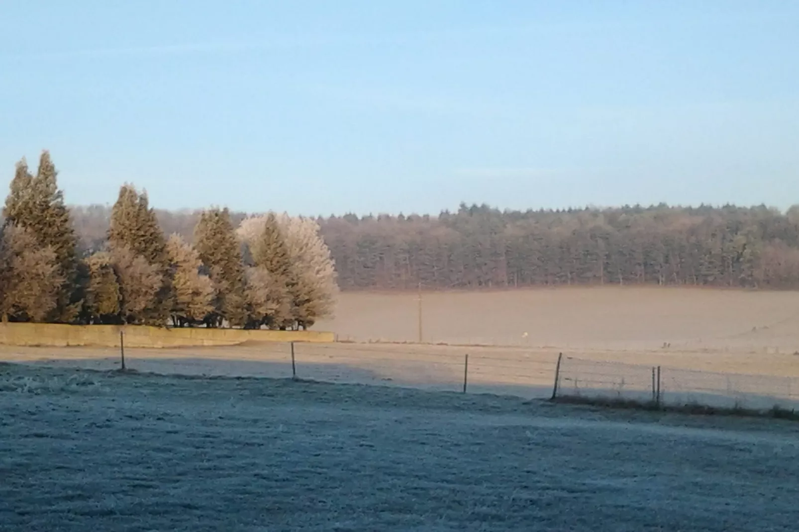 Gite Nouartais - Tuin winter