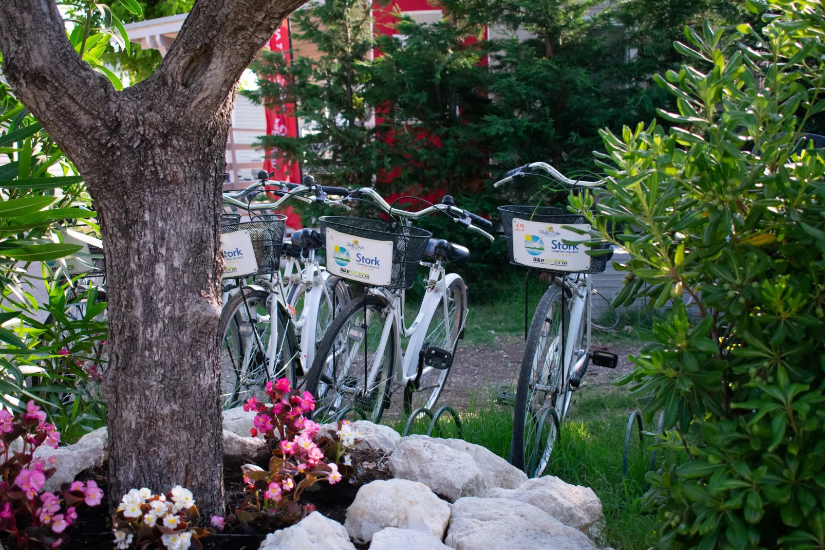 Stork Family Collection - LODGE DELUXE FAMILY max cap 6 pax - Parkfaciliteiten