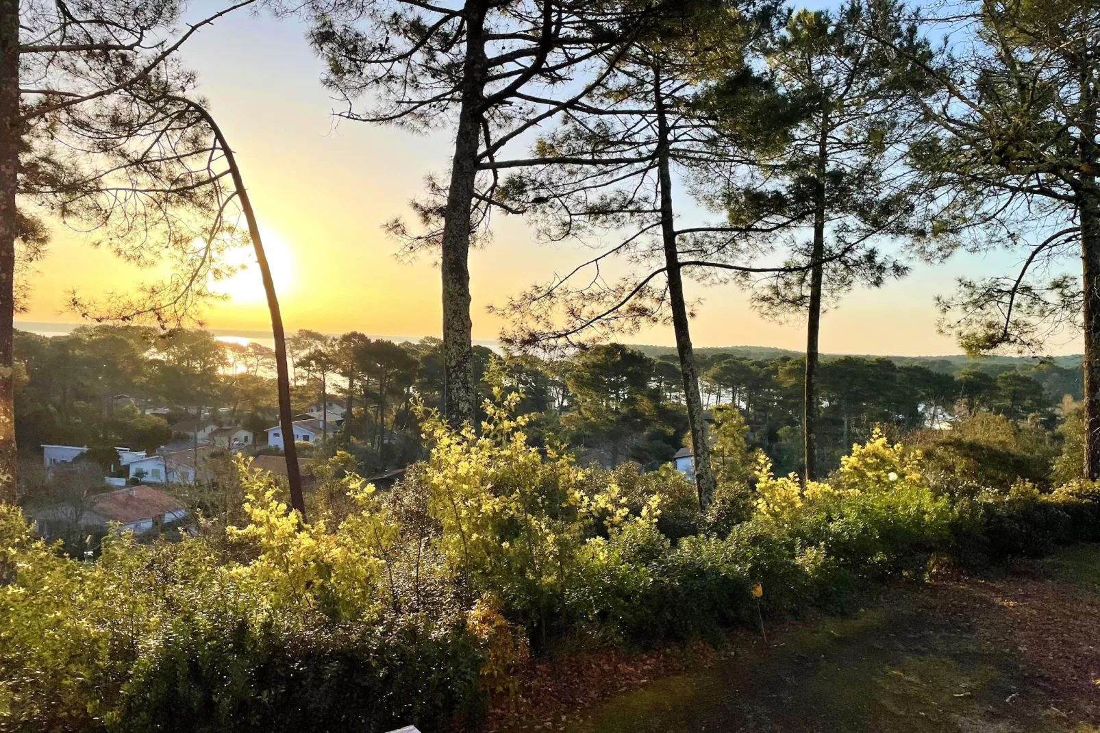 Maison avec vue sur le lac Lacanau - Uitzicht zomer