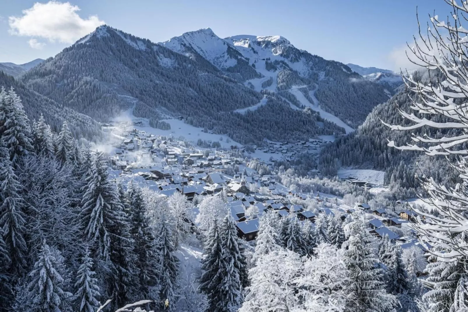 Campanules CP6 TELECABINE & NATURE 4 Pers - Gebied winter 1km