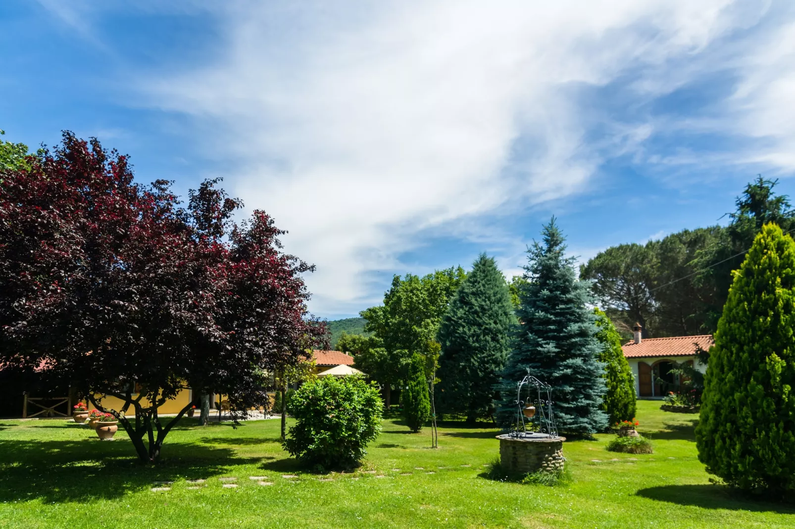 Il giardino - Tuinen zomer