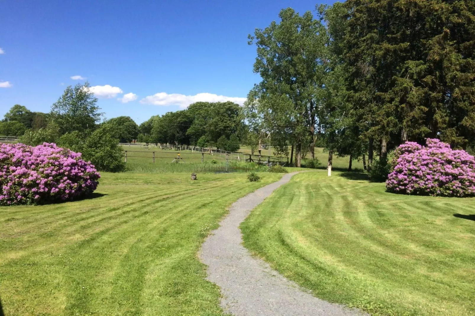 Hotel Harzhaus - Großes Ferienhaus 5 - Gebieden zomer 1km