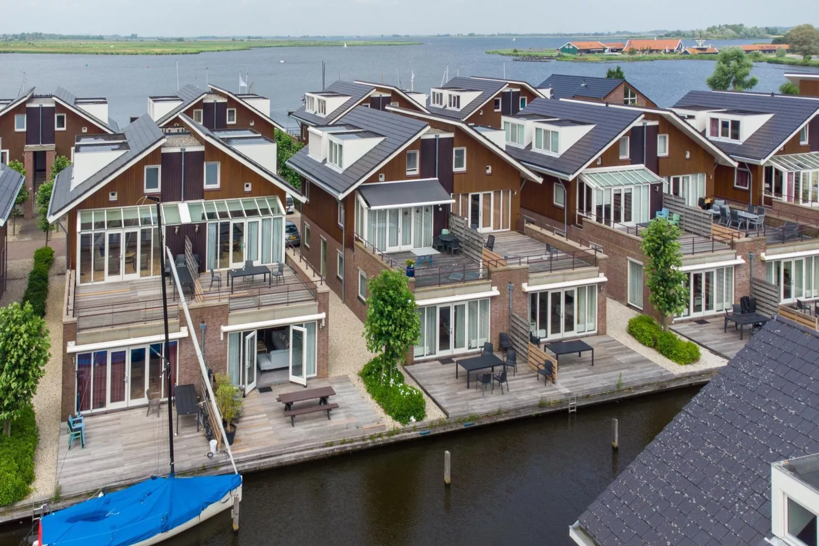 Schelpzicht - Gebieden zomer 1km