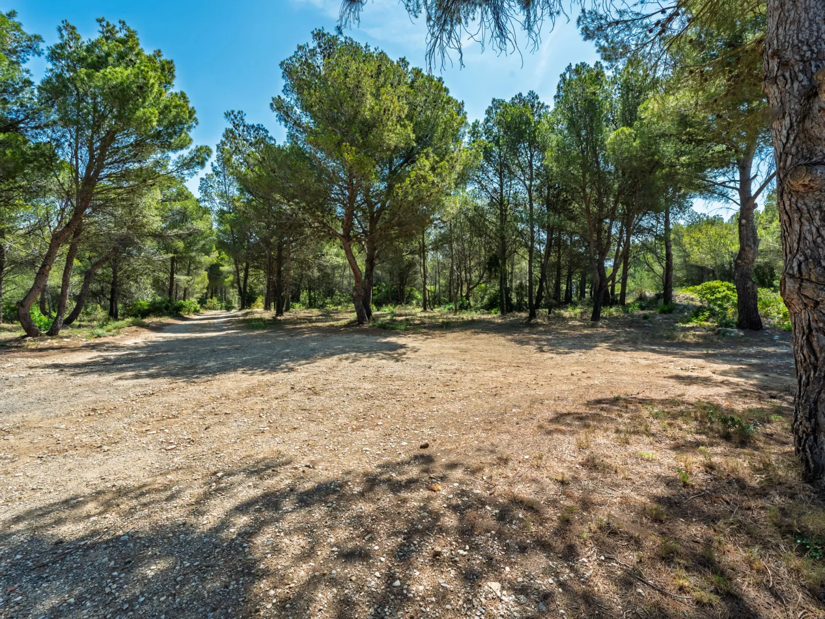 Mas de Caussagues - Buiten
