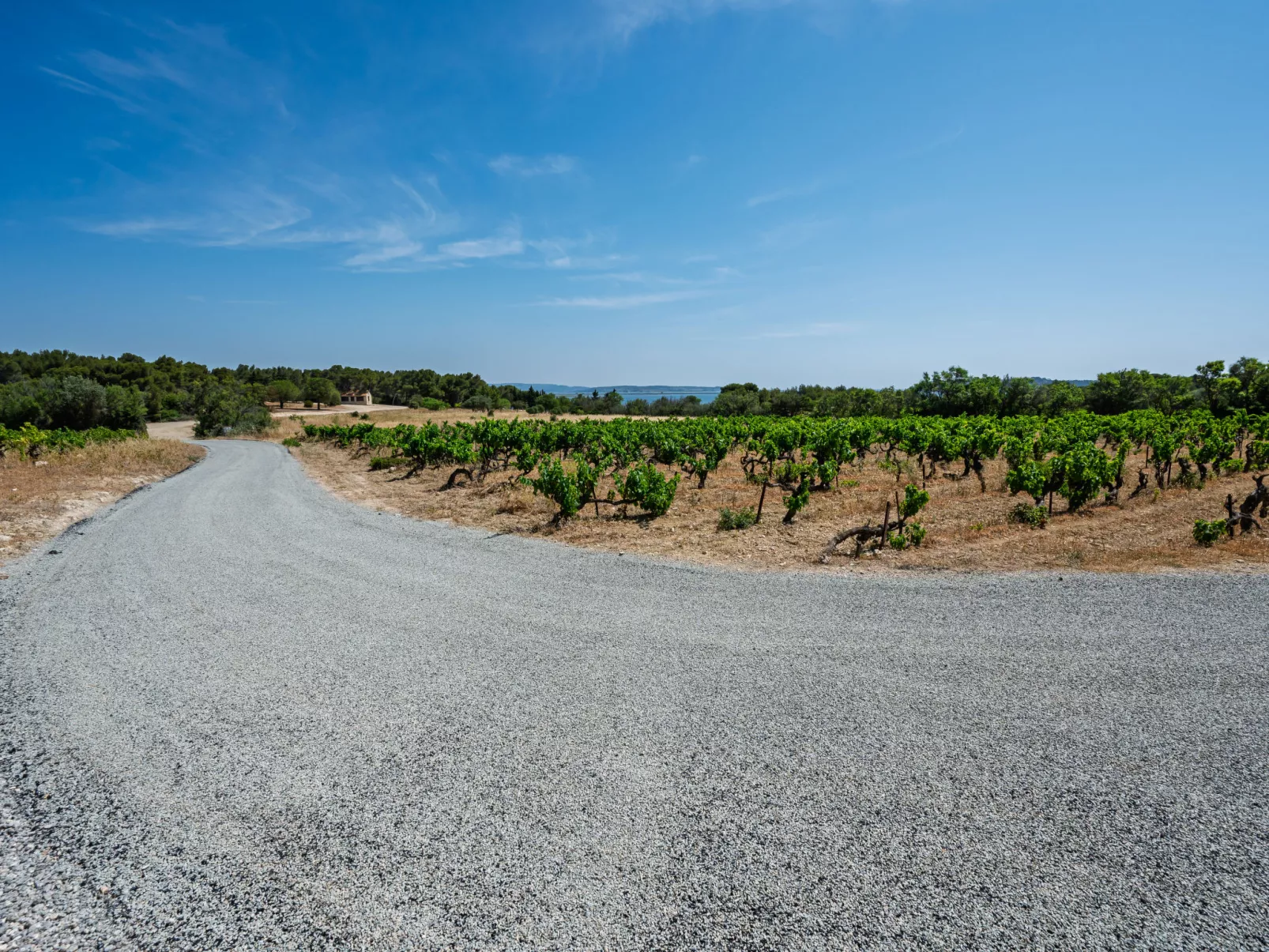 Mas de Caussagues - Buiten