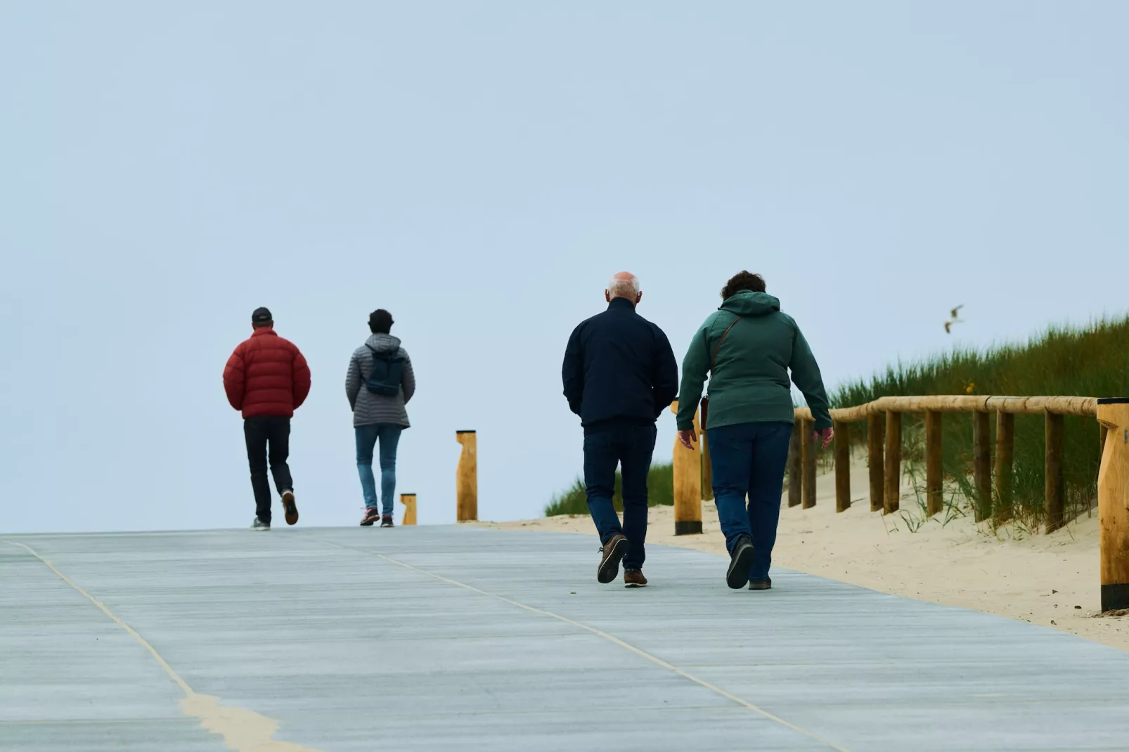 Droomsuites Texel - 8 person apartement - Gebieden zomer 1km