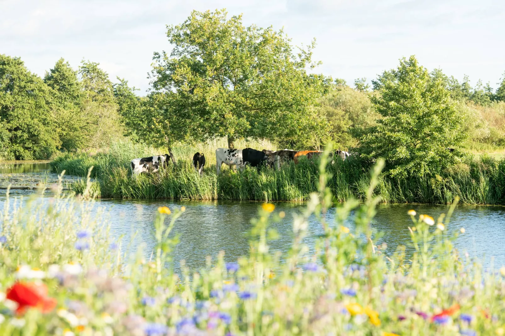 Wellness at the Vecht - First floor - Gebieden zomer 1km