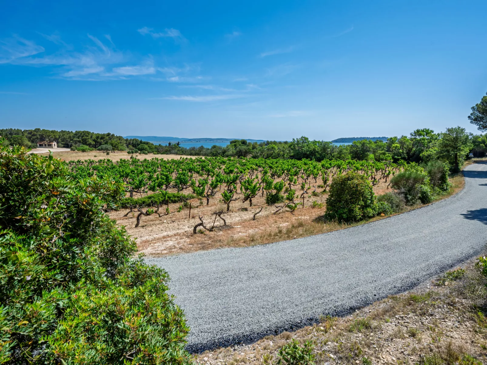 Mas de Caussagues - Buiten