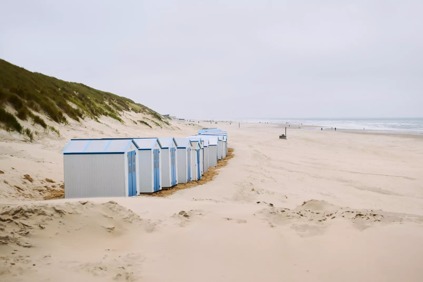 Droomsuites Texel - 8 person apartement - Gebieden zomer 5km