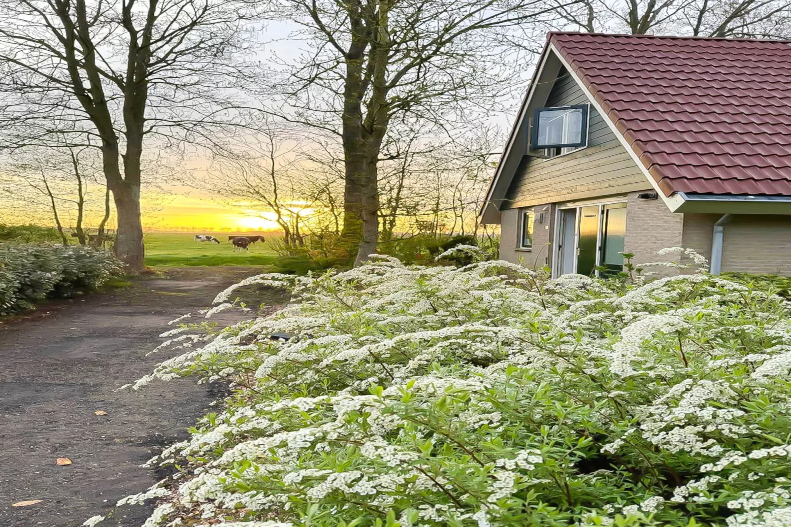Zon in de duinen - 33 - Gebieden zomer 1km