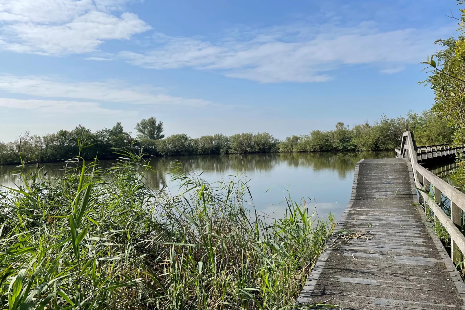 Zon in de duinen - 33 - Gebieden zomer 1km