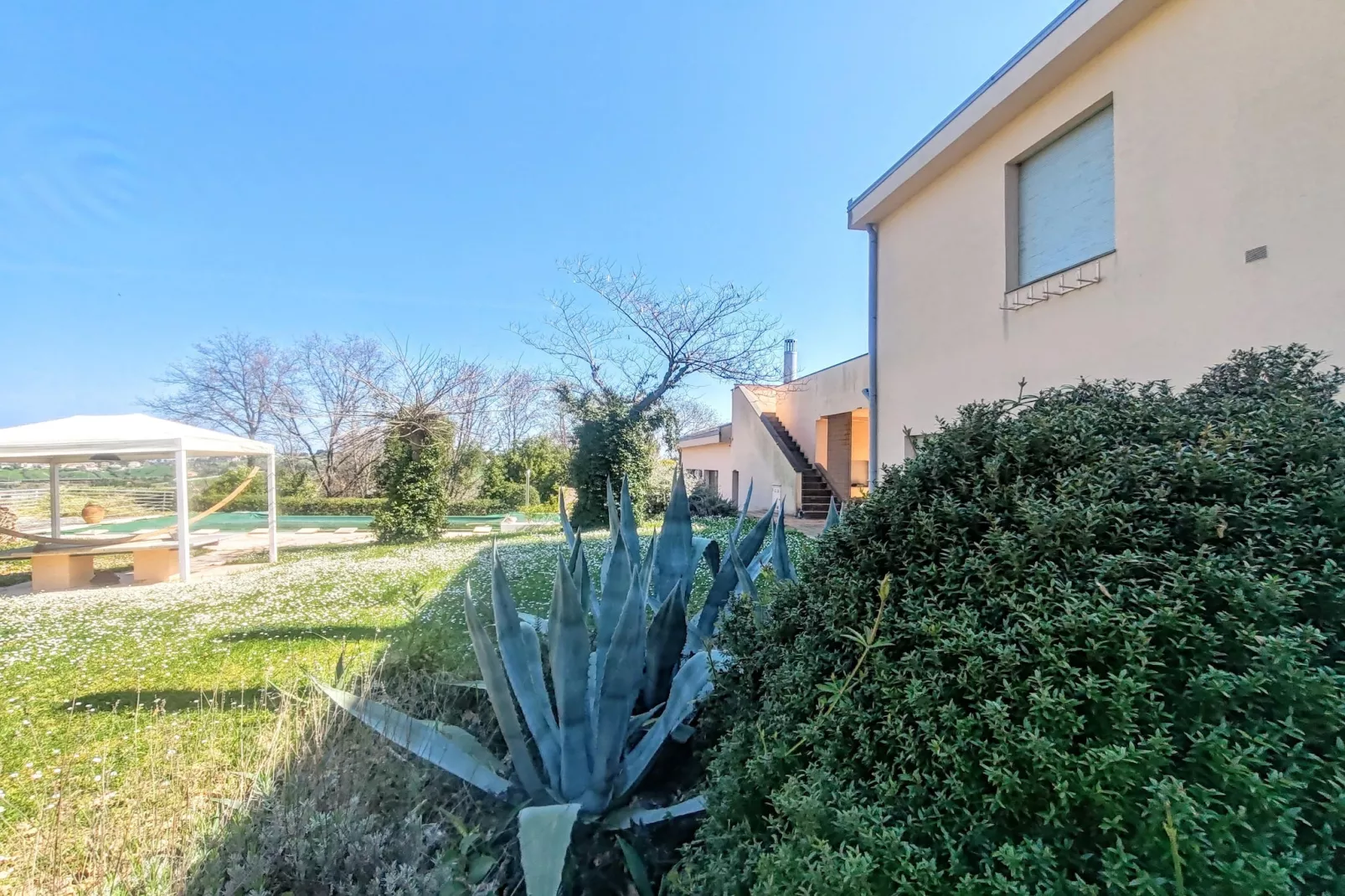 Villa tra gli Ulivi - Tuinen zomer