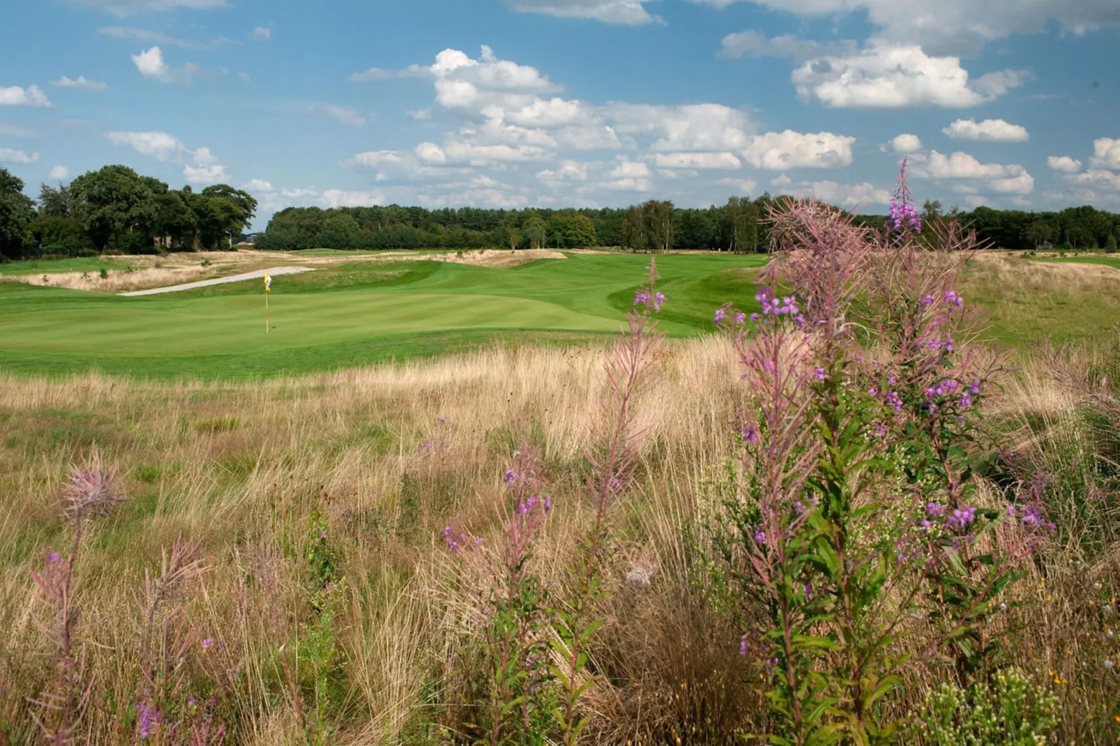 Betonnen Boshuis - Gebieden zomer 1km
