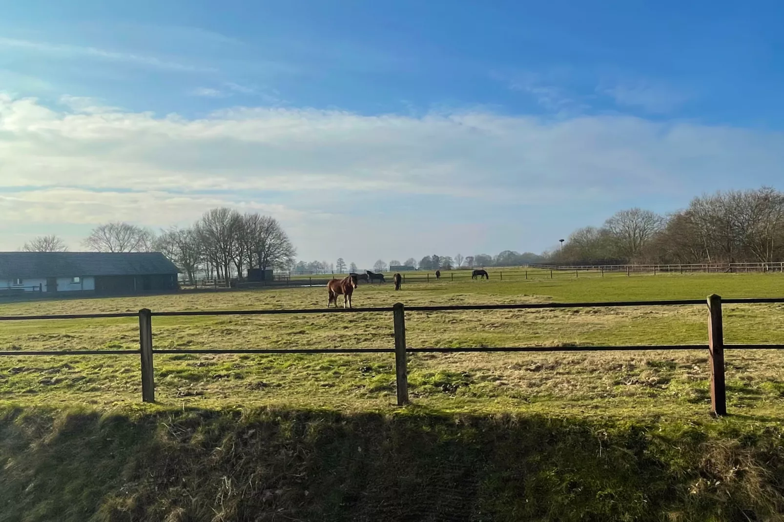 Salland Hideaway - 4 persons - Gebieden zomer 1km