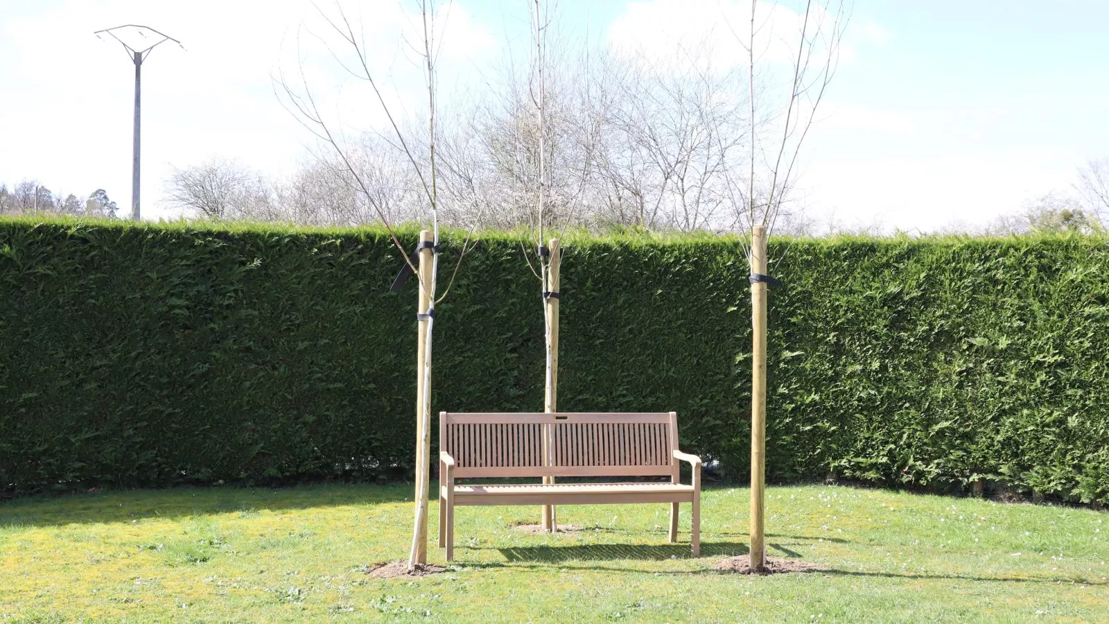 Myrabelle - Tuinen zomer