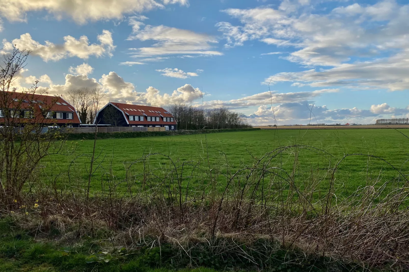 Waddenweelde Texel - Gebieden zomer 1km