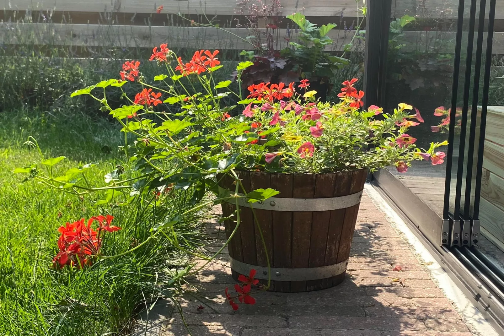 De Groninger Zeeuw - Tuinen zomer