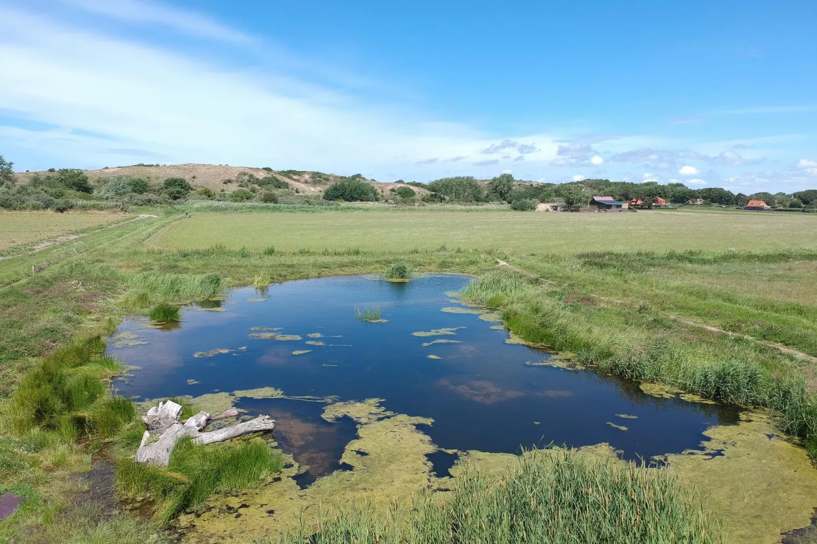 Zonnestralen - Gebieden zomer 5km