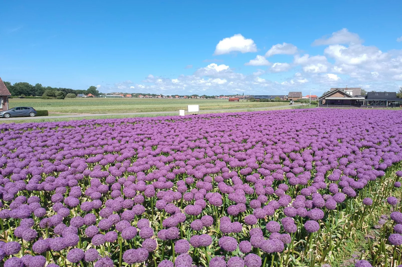 Zonnestralen - Gebieden zomer 5km