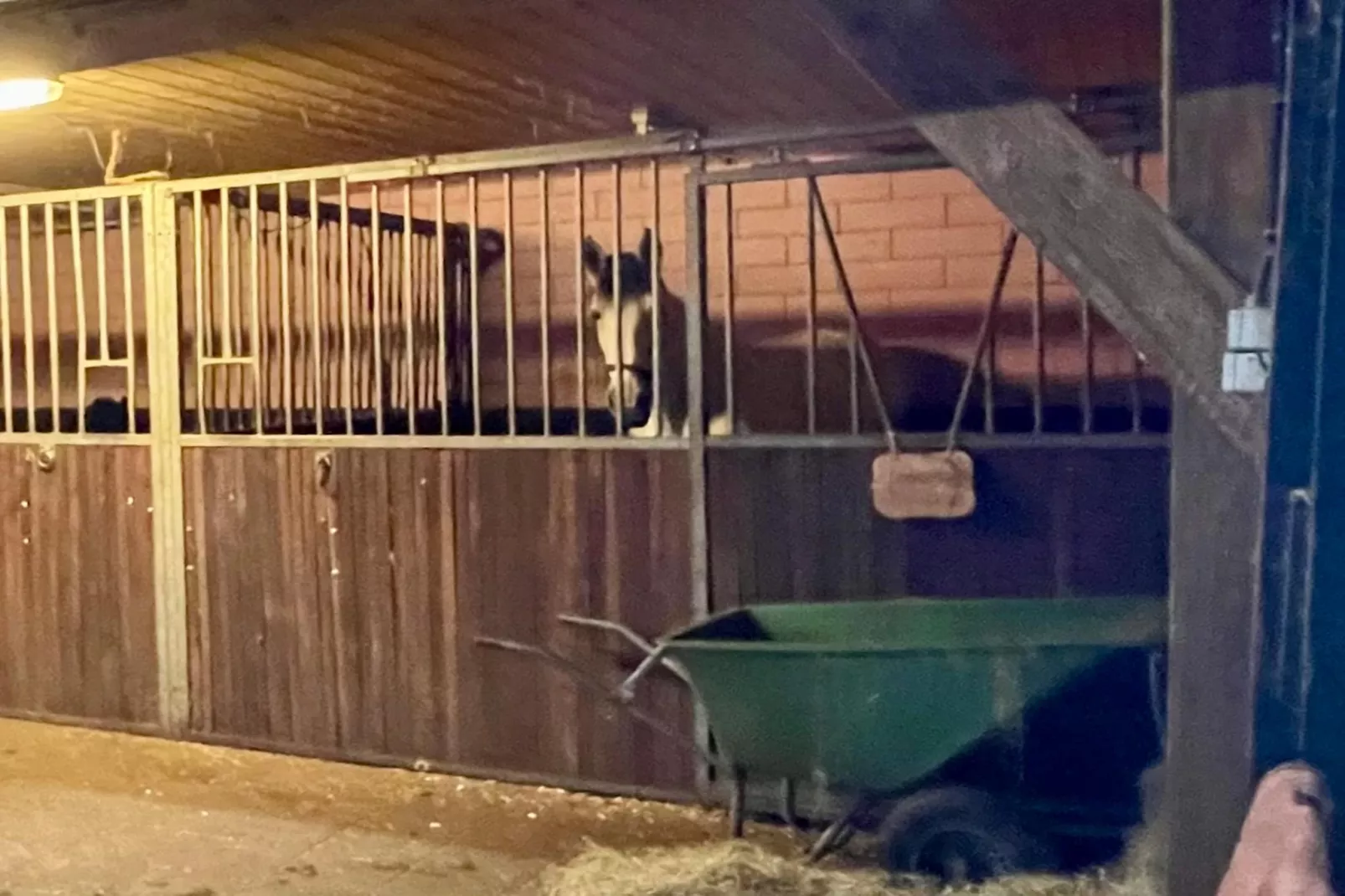 De Binnenhof - Faciliteiten