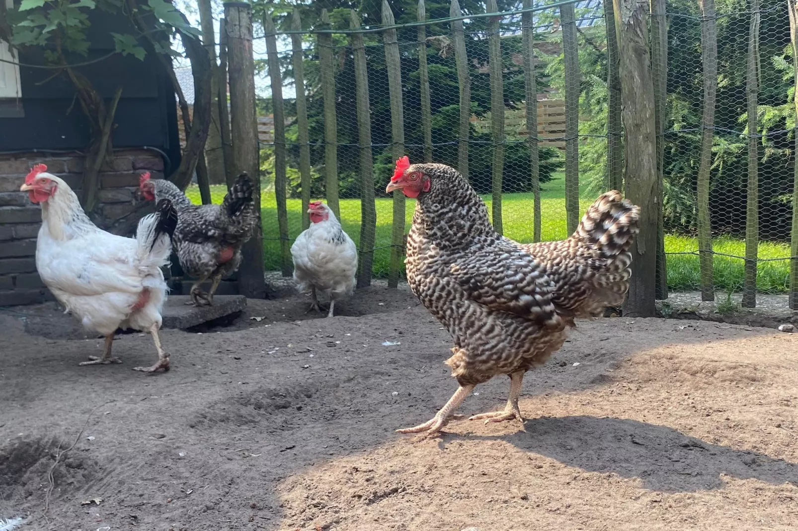 De Groninger Zeeuw - Sfeer