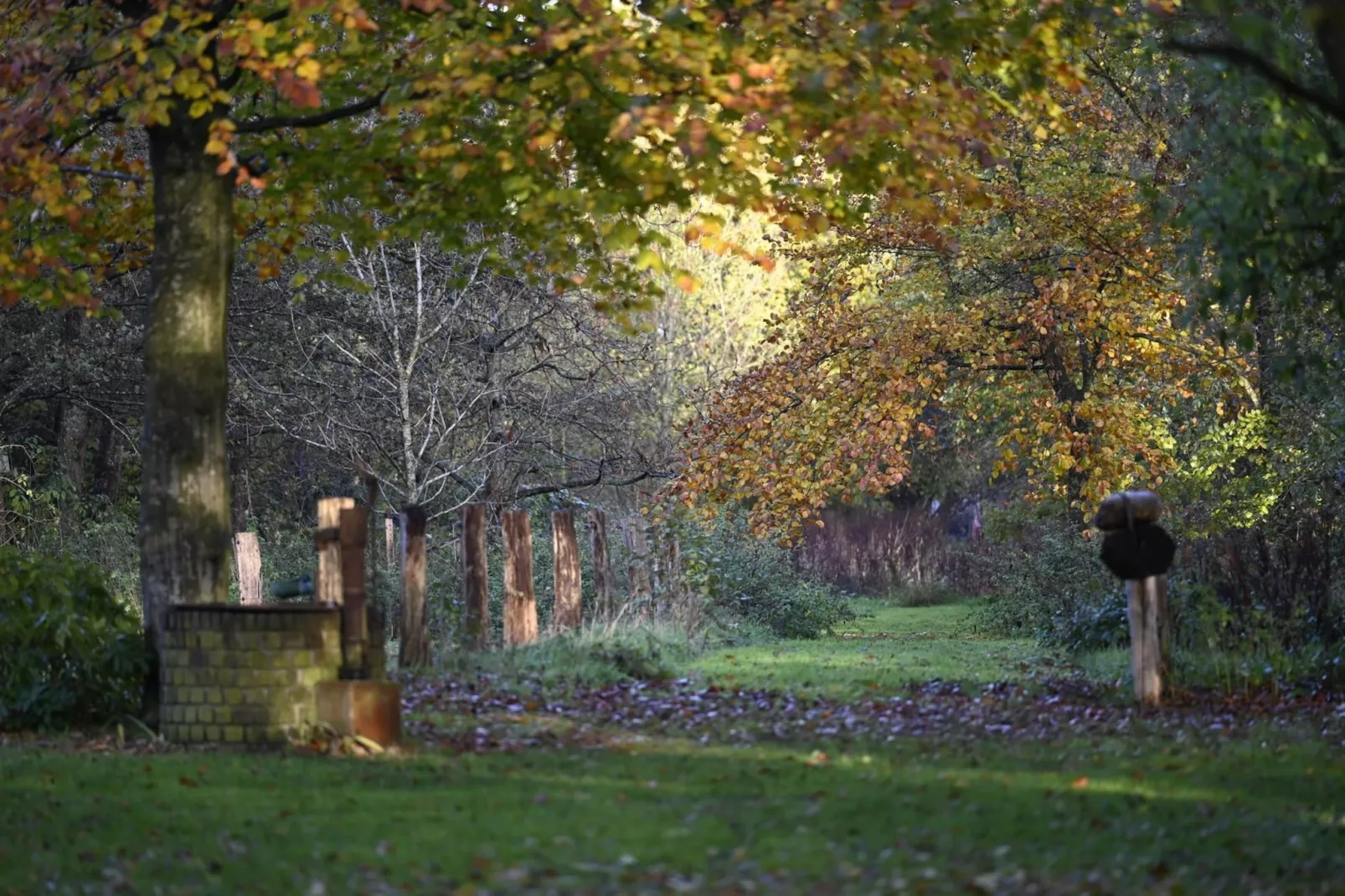 De Binnenhof - Gebieden zomer 1km