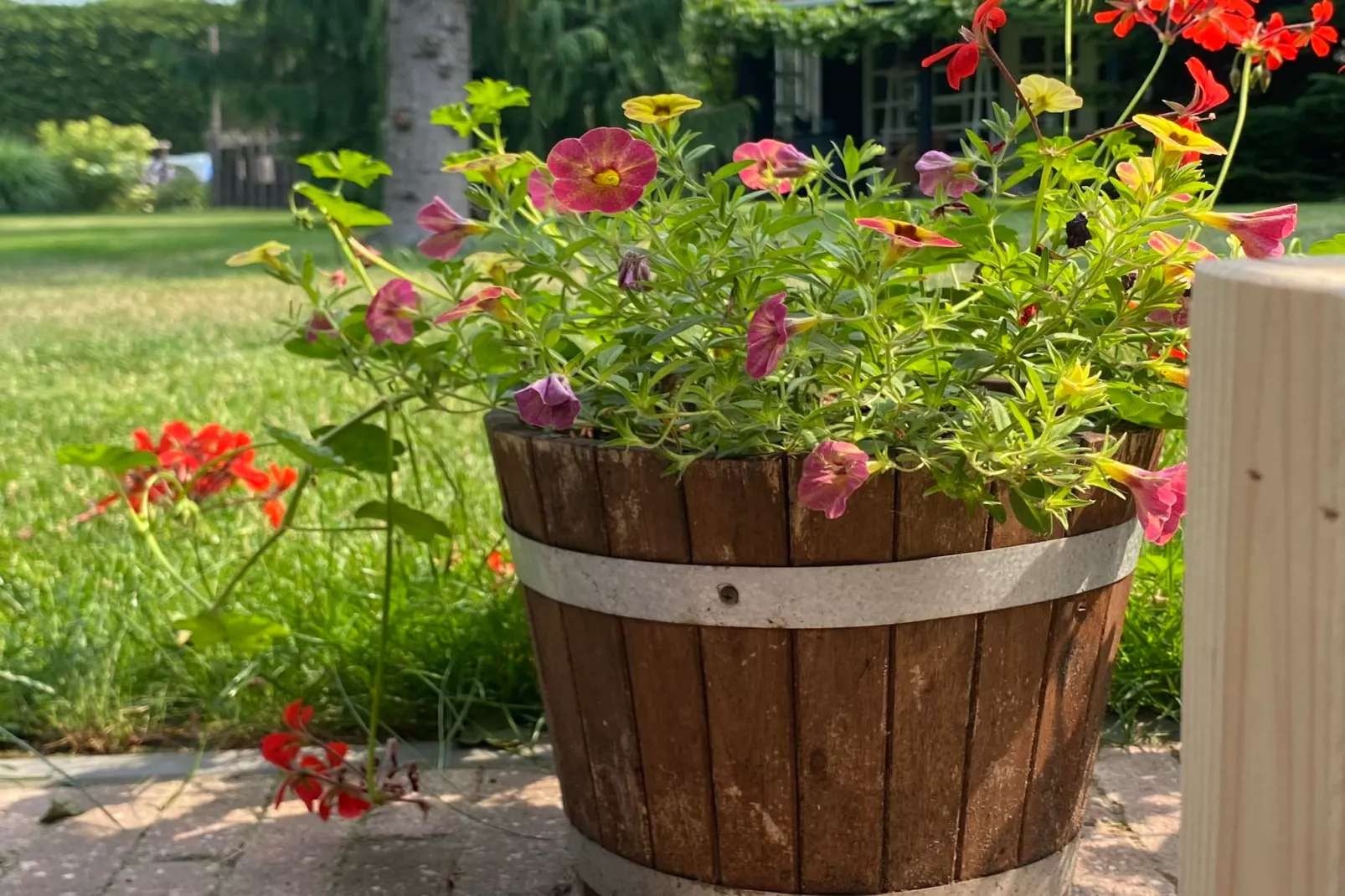 De Groninger Zeeuw - Sfeer