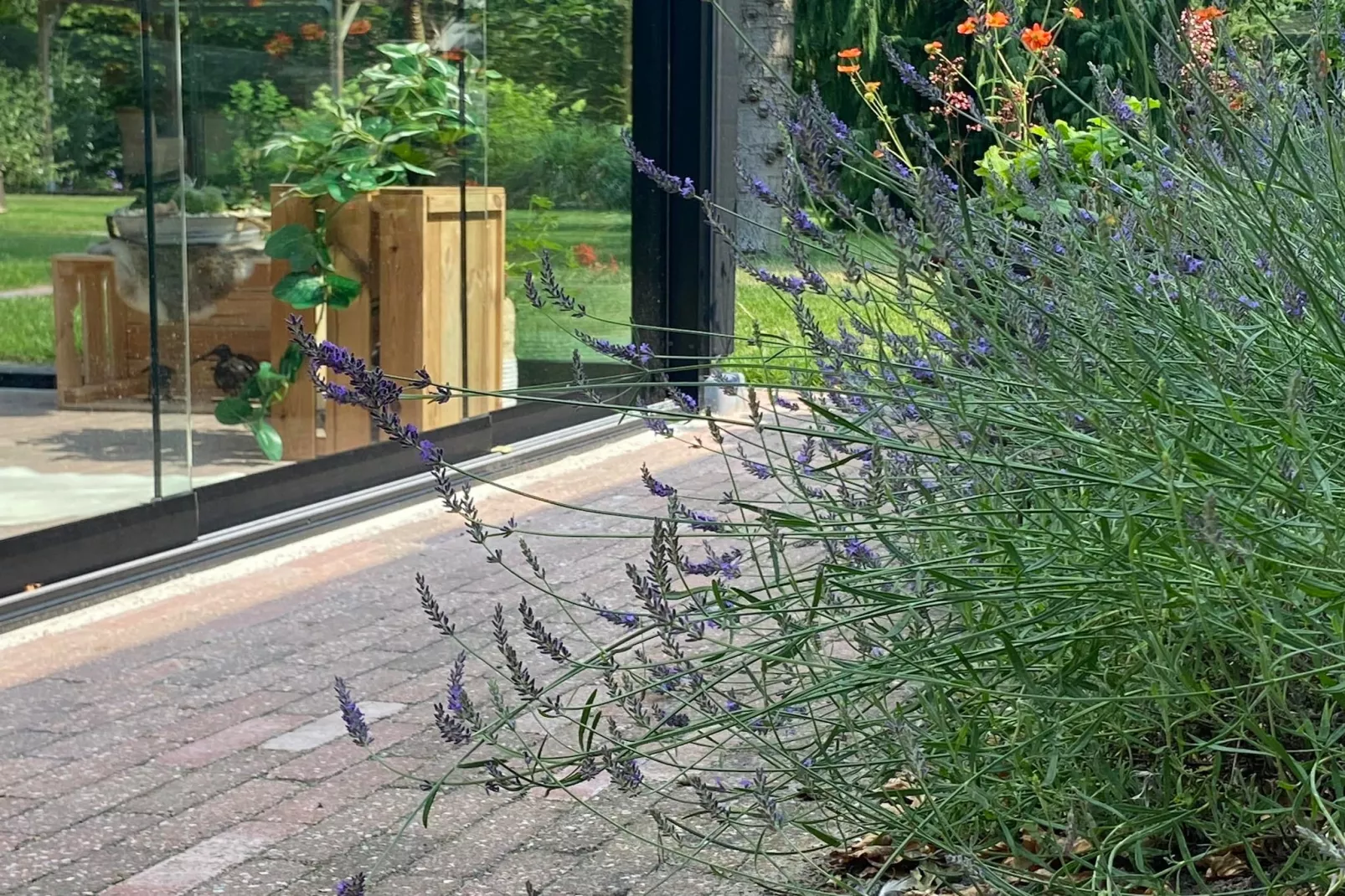 De Groninger Zeeuw - Sfeer