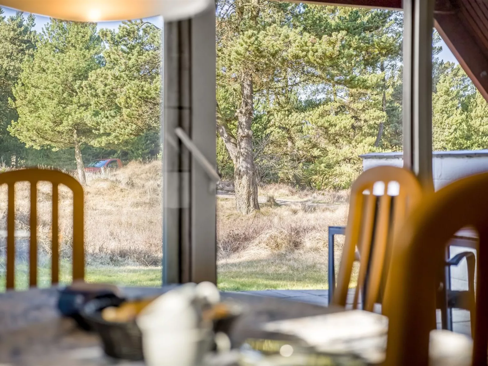 "Evelyn" - 2.8km from the sea