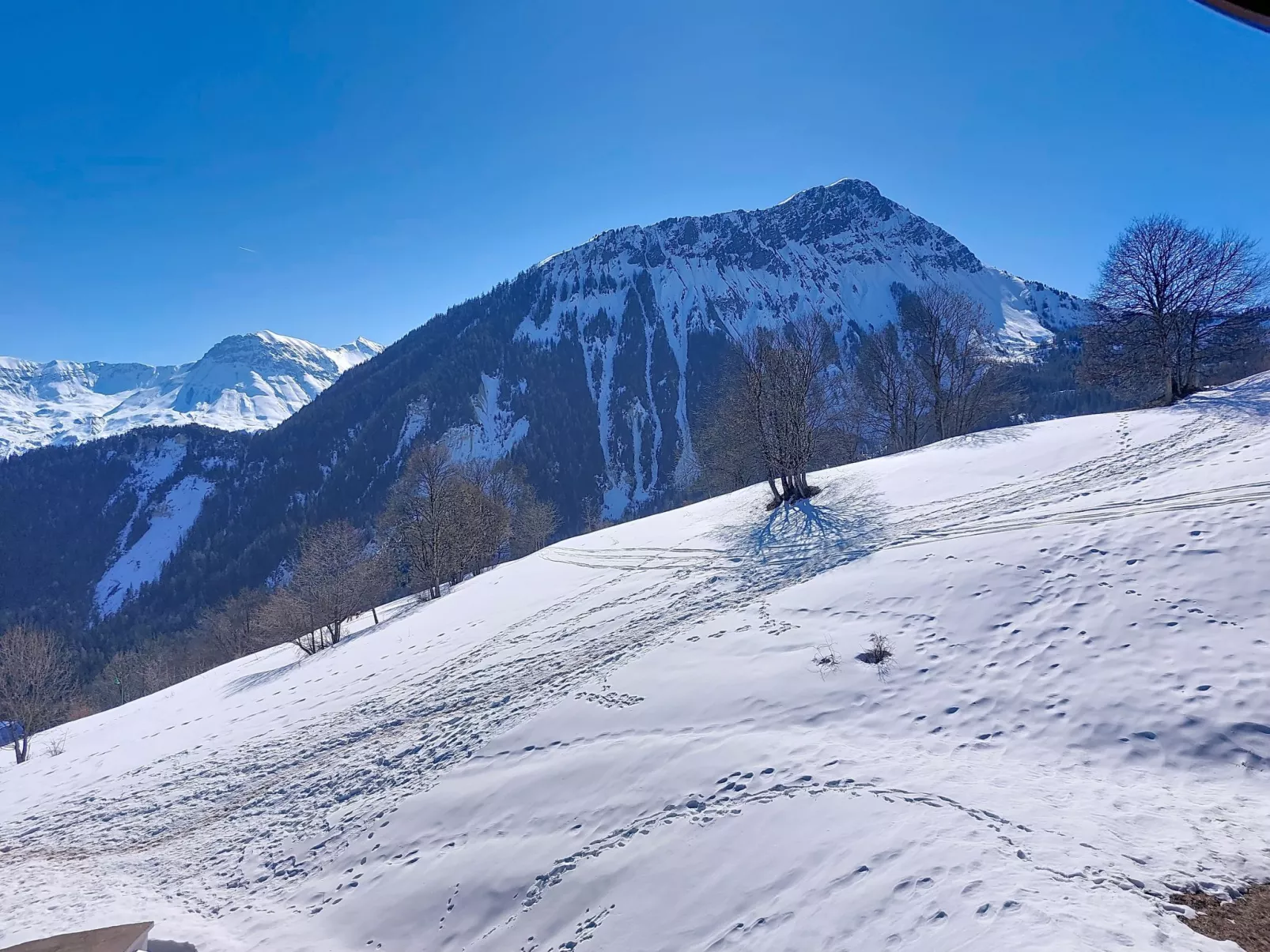 Les Alpages du Corbier - Buiten