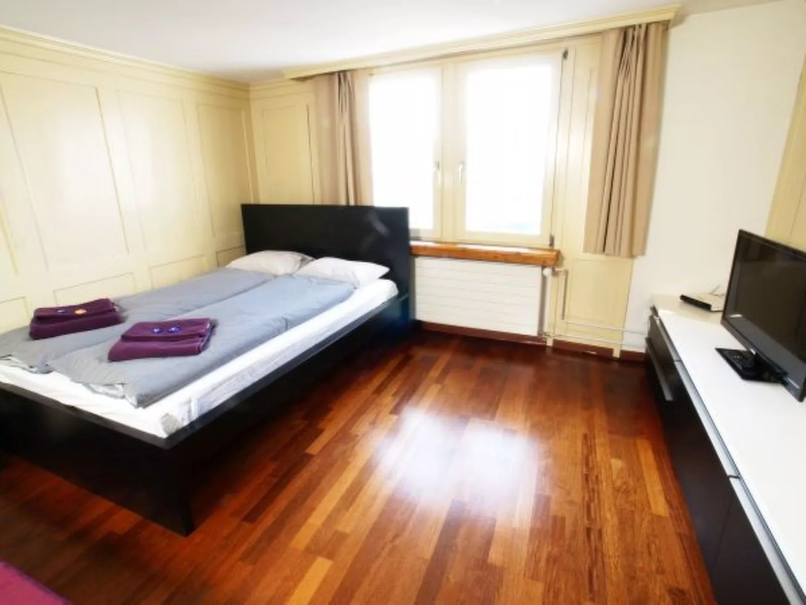 ZH Limmat 5 - HITrental Apartment