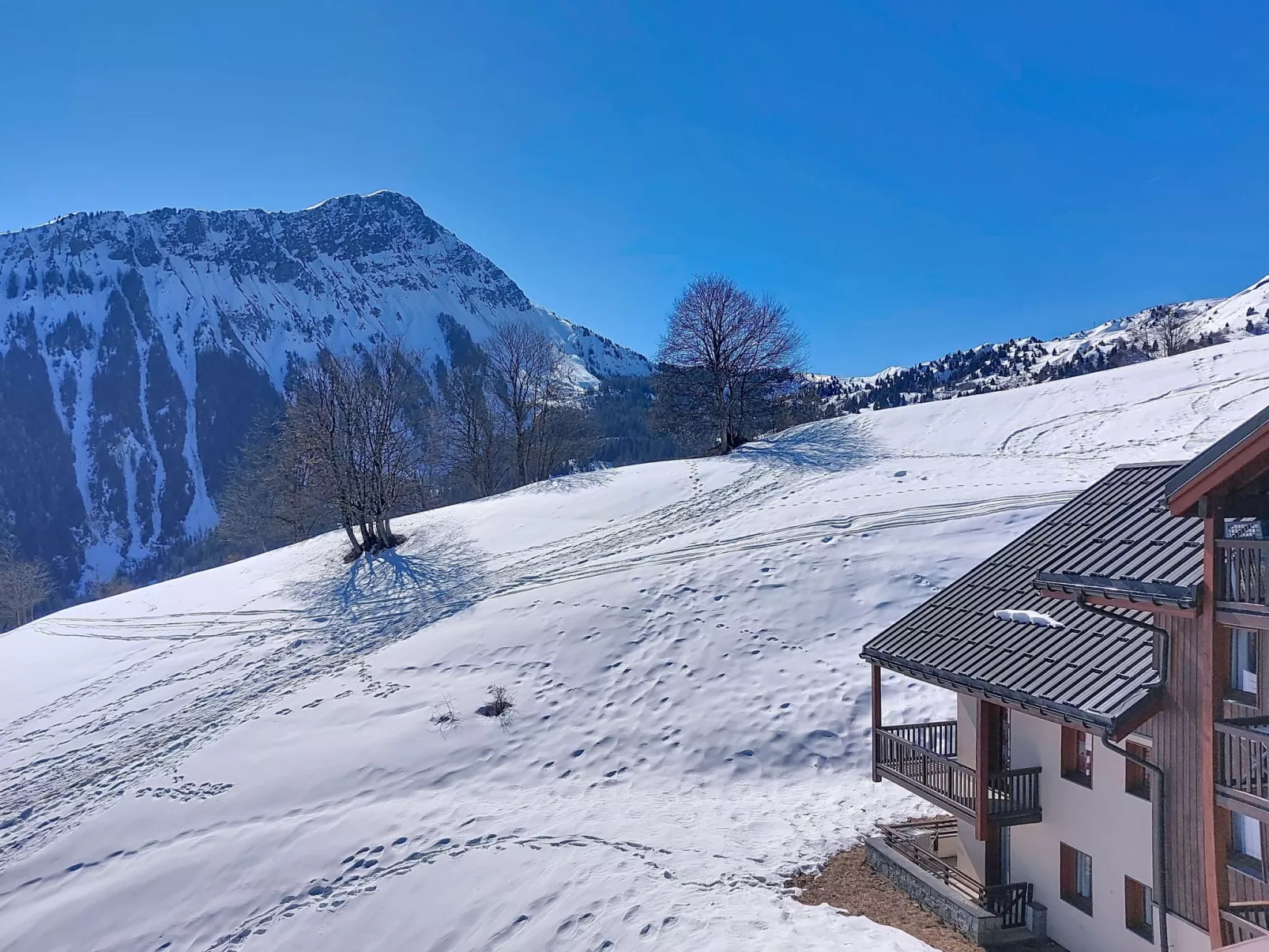 Les Alpages du Corbier - Buiten
