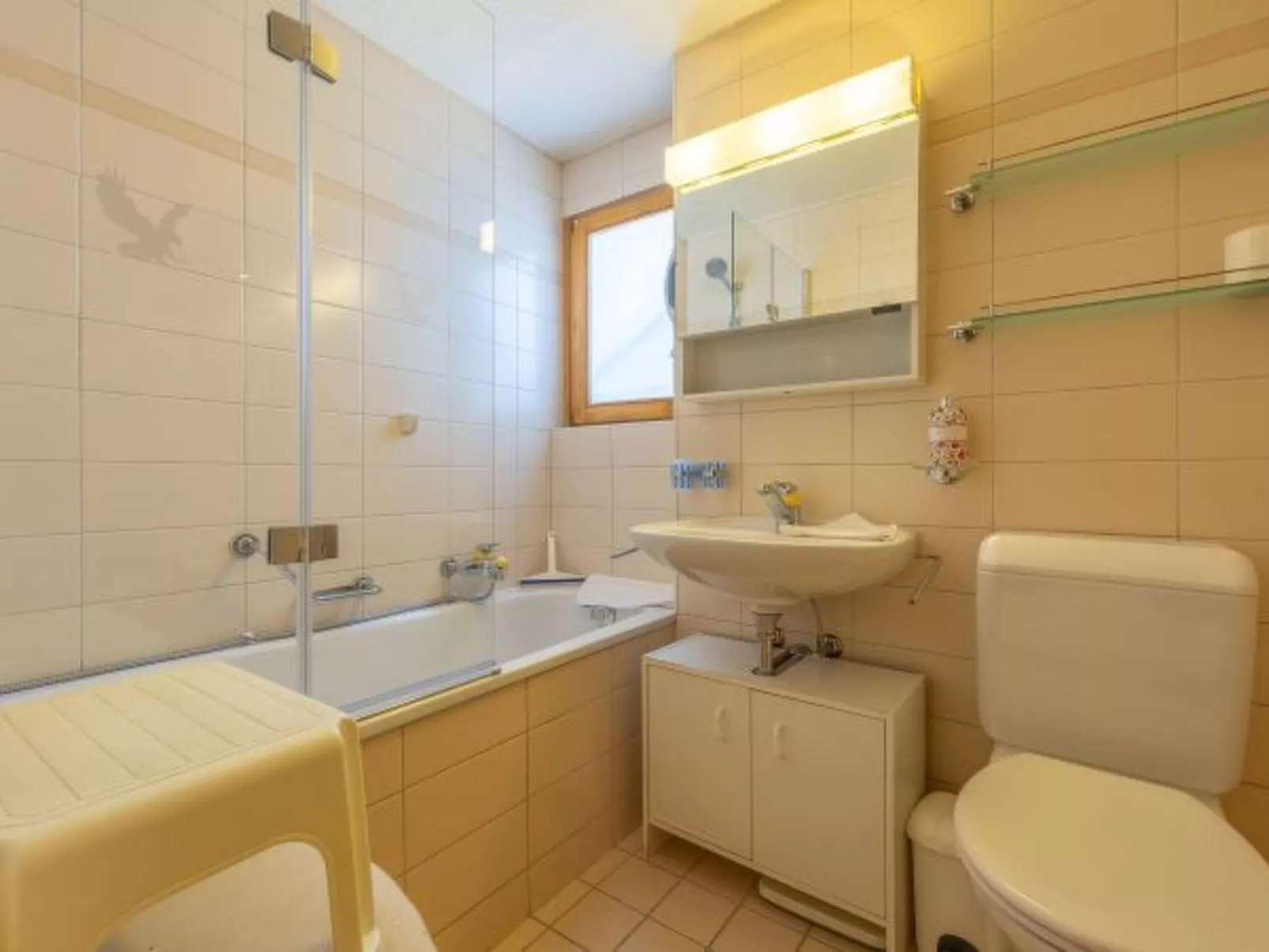 Les Busards 18 - centre Nendaz