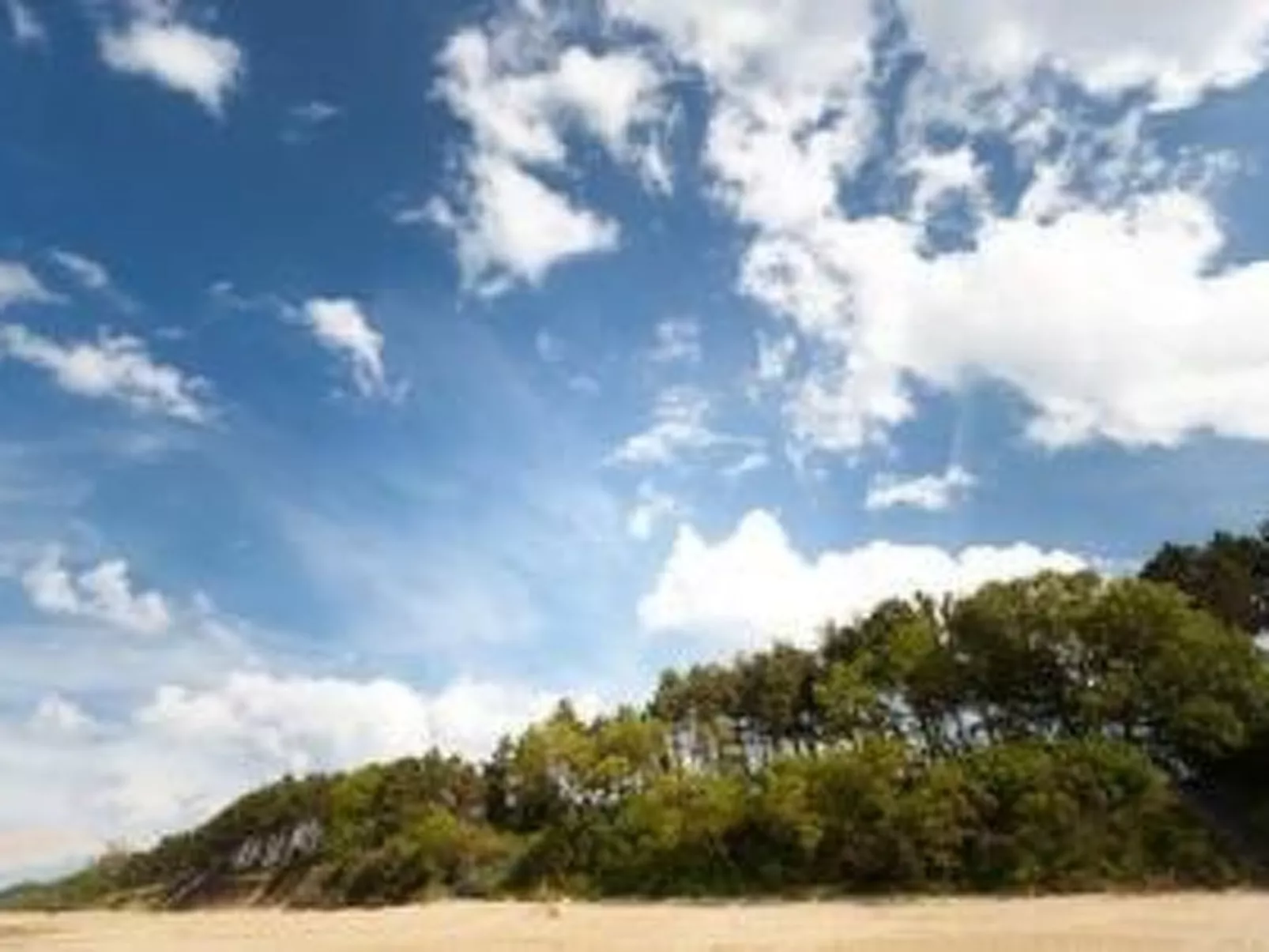 "Ferienwohnung" mitten im Grünen - Buiten